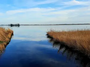 Allet 03 Alkmaardermeer